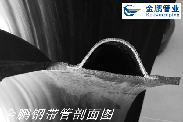 金鵬鋼帶管坡面圖z02.jpg