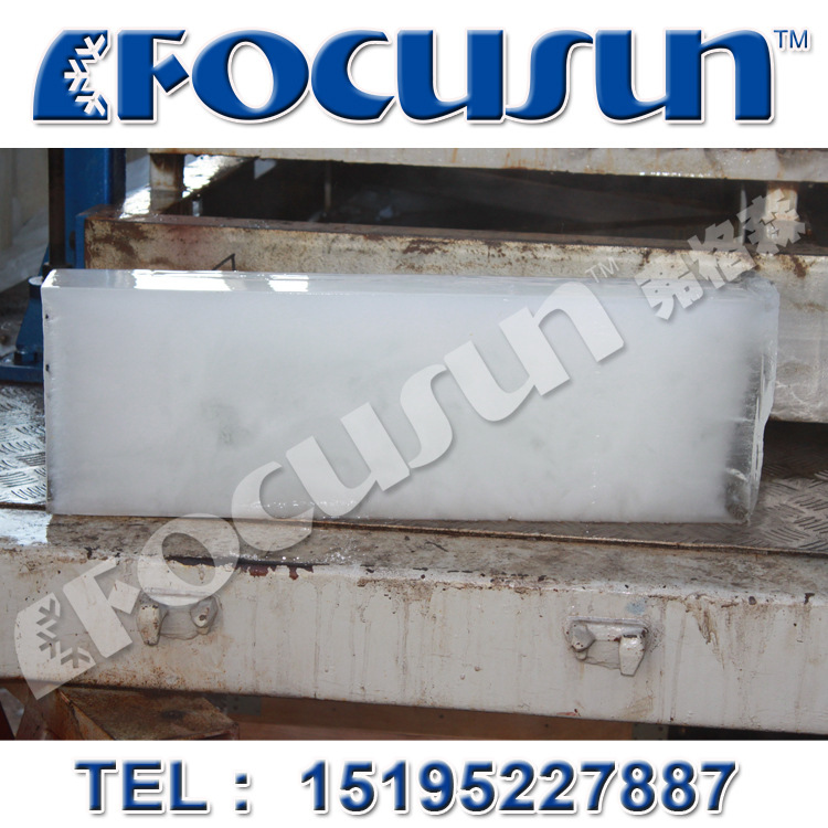 日產12噸集裝箱式塊冰機