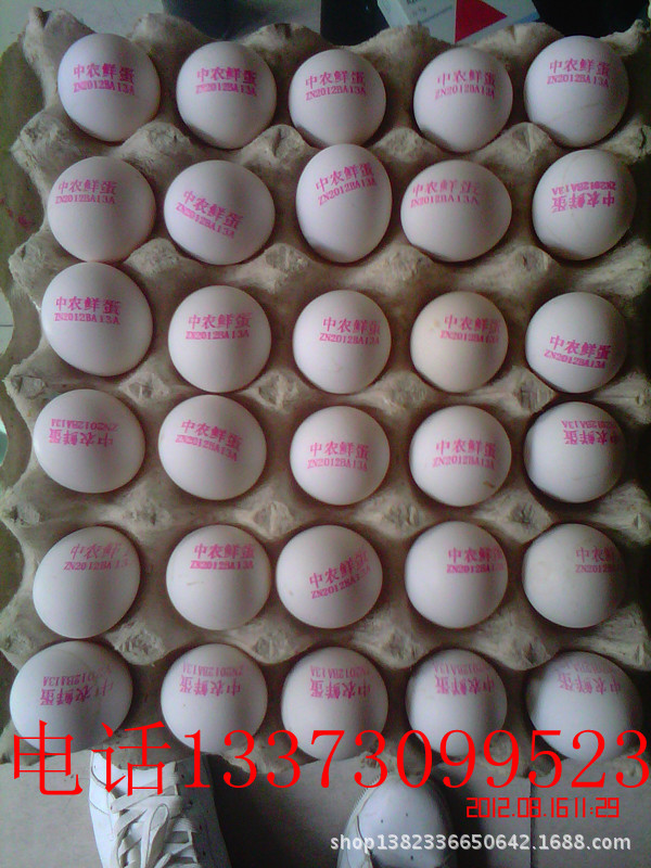 中農鮮蛋1_副本