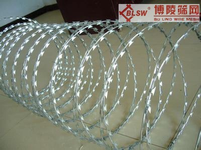 u=2767056680,3136616703&fm=23&